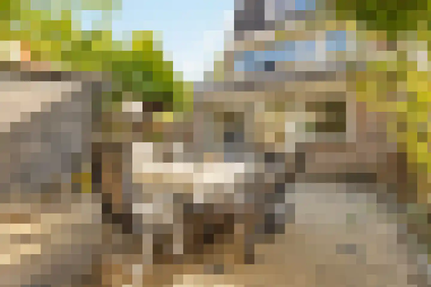 Gijsbrecht van Amstellaan 71 Amstelveen thumbnail 16