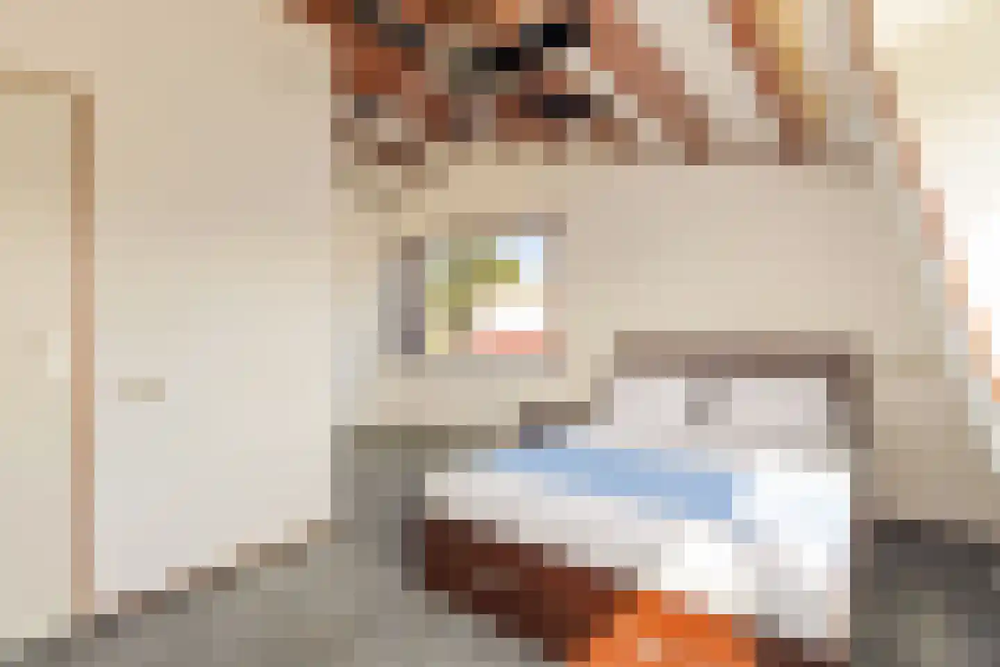 Gijsbrecht van Amstellaan 71 Amstelveen thumbnail 38
