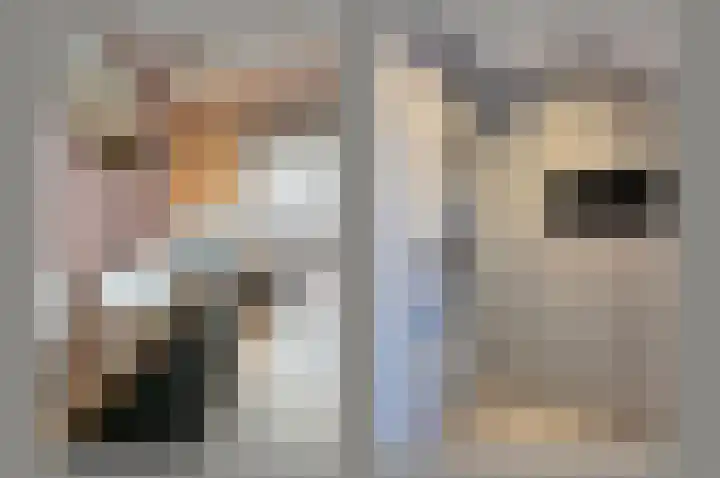 Gijsbrecht van Amstellaan 8 Zeist thumbnail 14