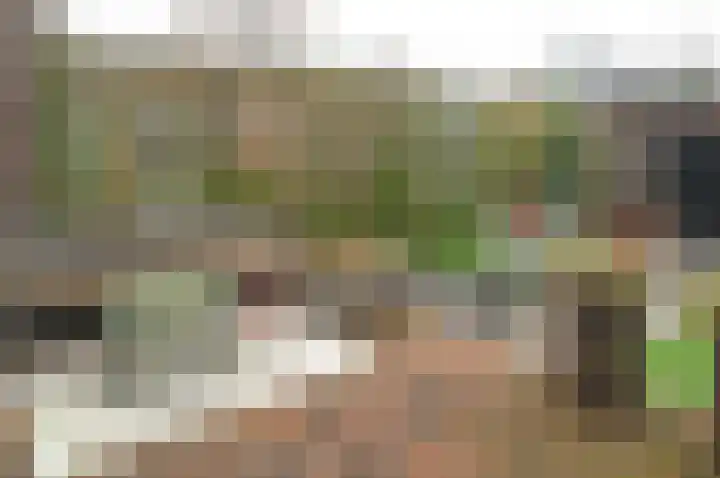 Gijsbrecht van Amstellaan 8 Zeist thumbnail 20