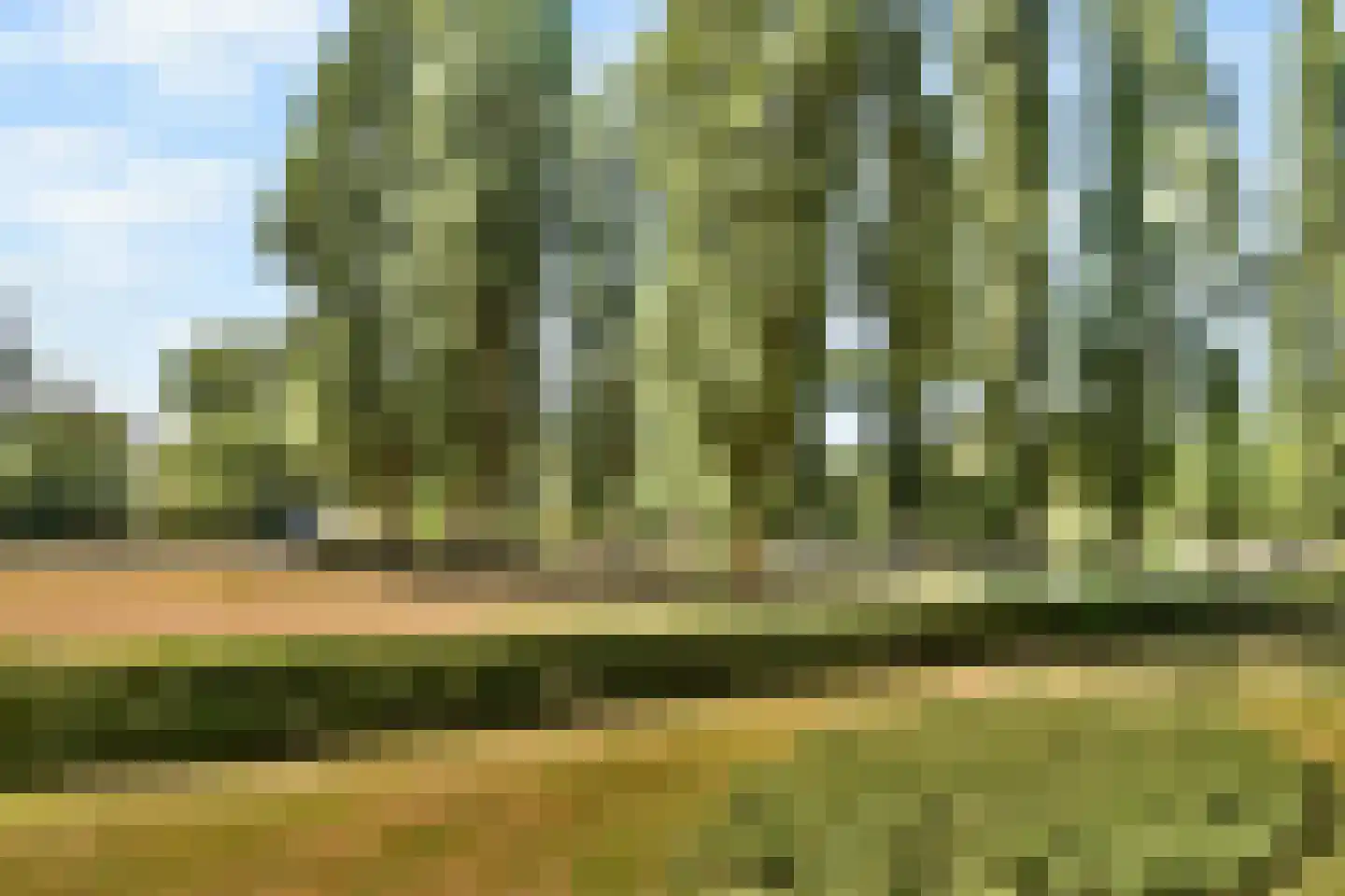 Gijsbrecht van Amstelstraat 124 Vlaardingen thumbnail 11