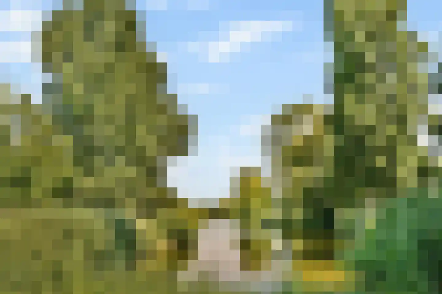 Gijsbrecht van Amstelstraat 124 Vlaardingen thumbnail 24