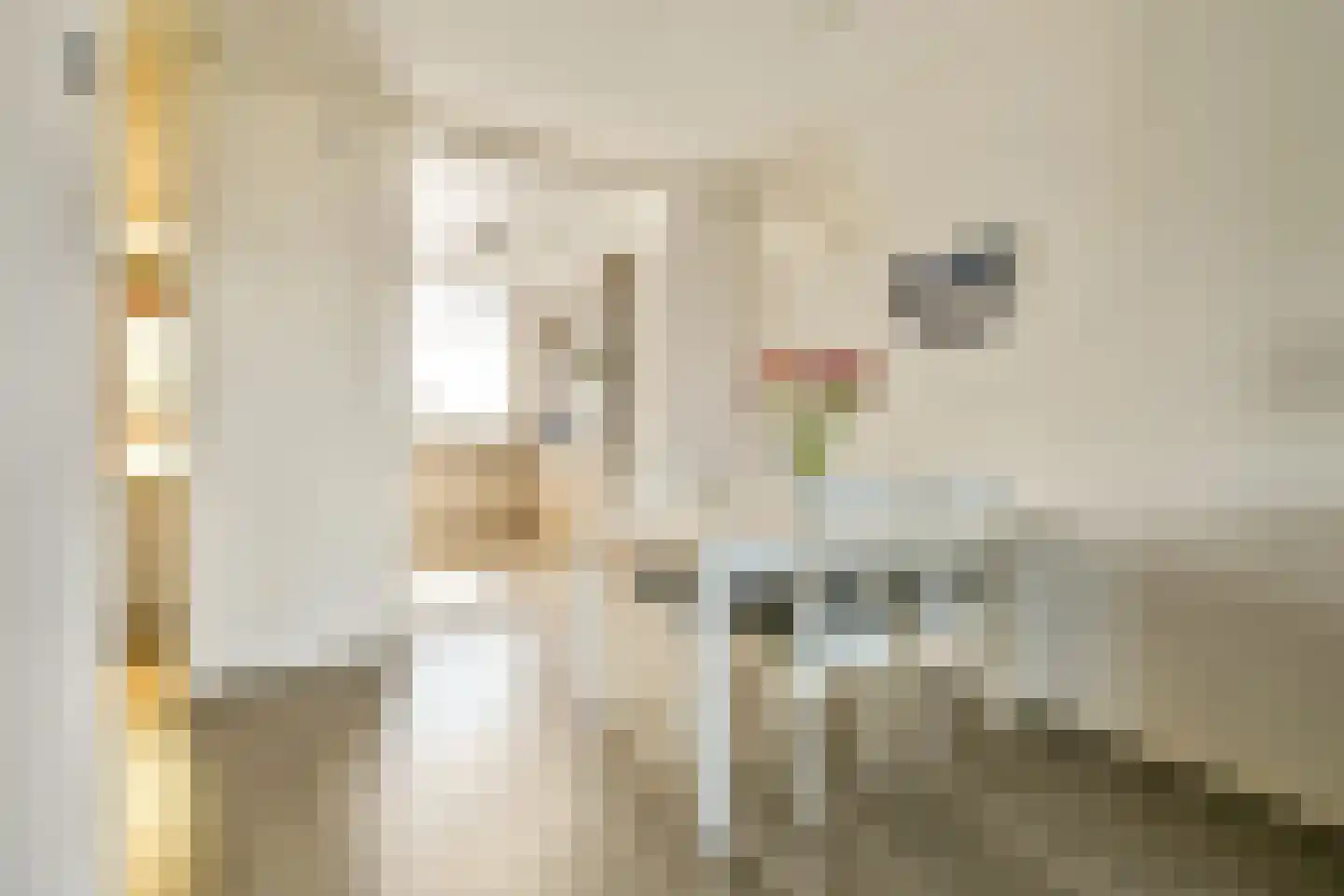 Gijsbrecht van Amstelstraat 236 Vlaardingen thumbnail 12