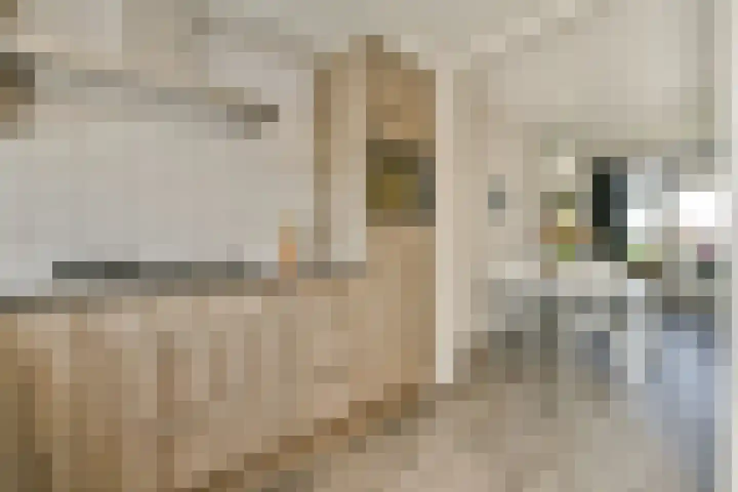 Gijsbrecht van Amstelstraat 236 Vlaardingen thumbnail 13