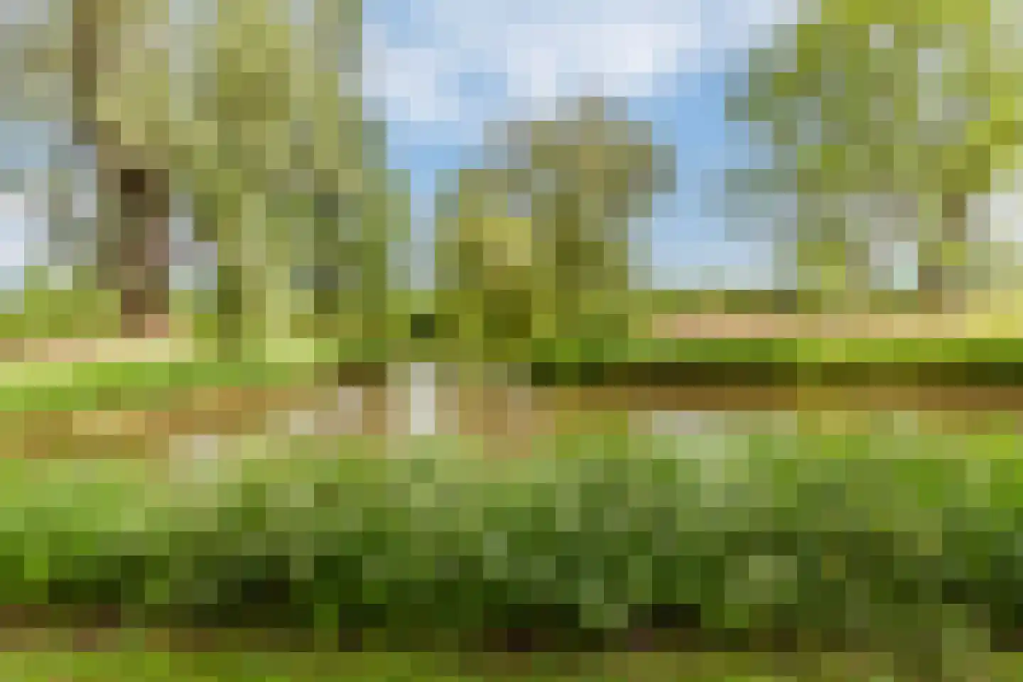 Gijsbrecht van Amstelstraat 248 Vlaardingen thumbnail 41
