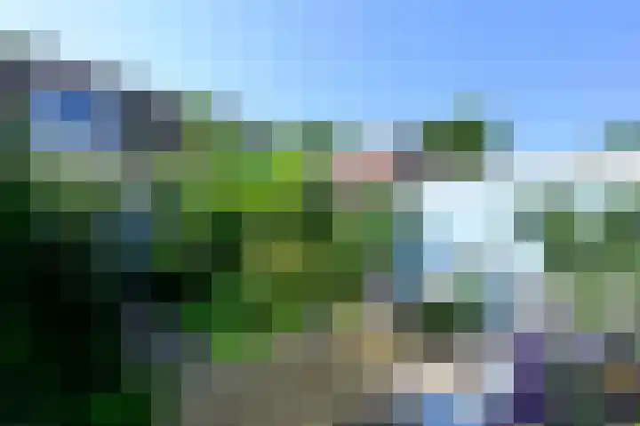 Gijsbrecht van Amstelstraat 250 Hilversum thumbnail 11