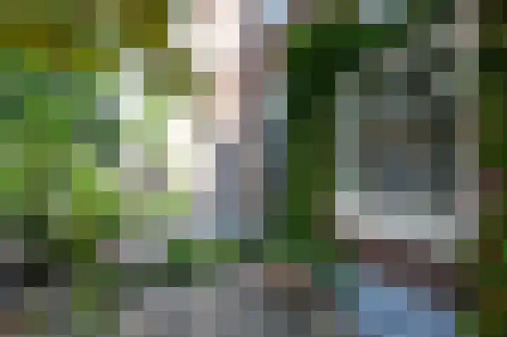 Gijsbrecht van Amstelstraat 250 Hilversum thumbnail 21