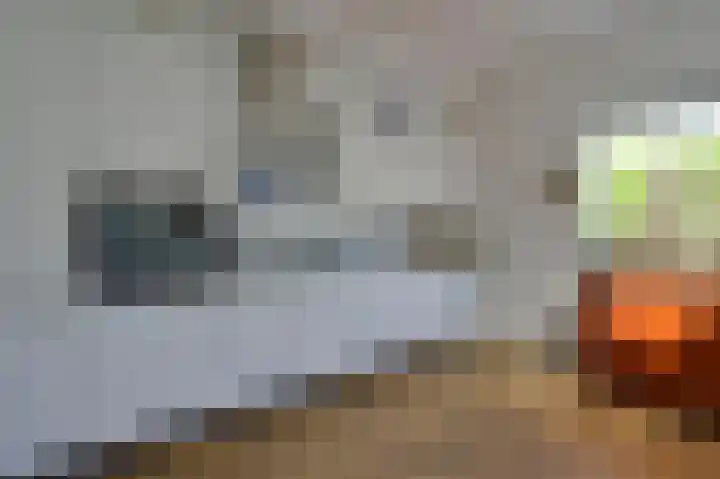 Gijsbrecht van Amstelstraat 250 Hilversum thumbnail 8