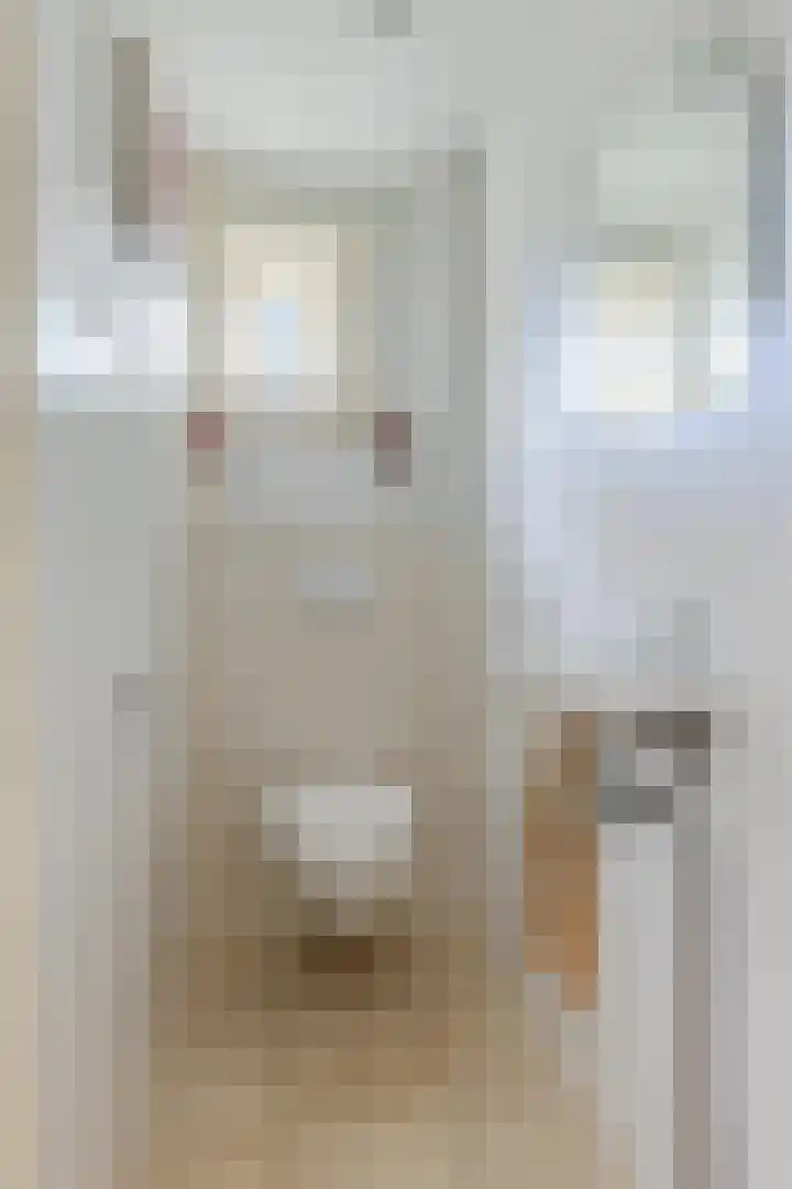 Gijsbrecht van Amstelstraat 271 Hilversum thumbnail 21