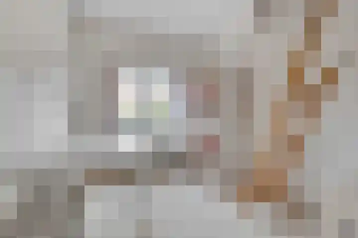 Gijsbrecht van Amstelstraat 306 Hilversum thumbnail 21