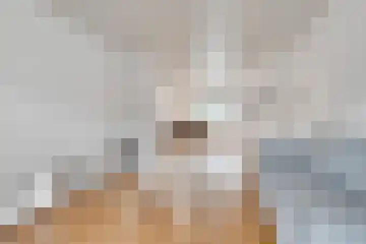 Gijsbrecht van Amstelstraat 306 Hilversum thumbnail 9