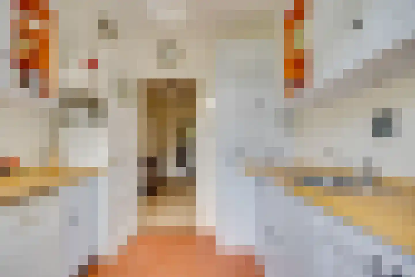 Gijsbrecht van Amstelstraat 337 Hilversum thumbnail 17