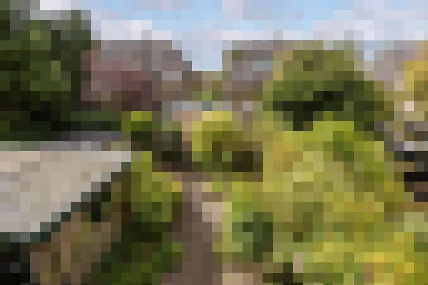 Gijsbrecht van Amstelstraat 337 Hilversum thumbnail 34