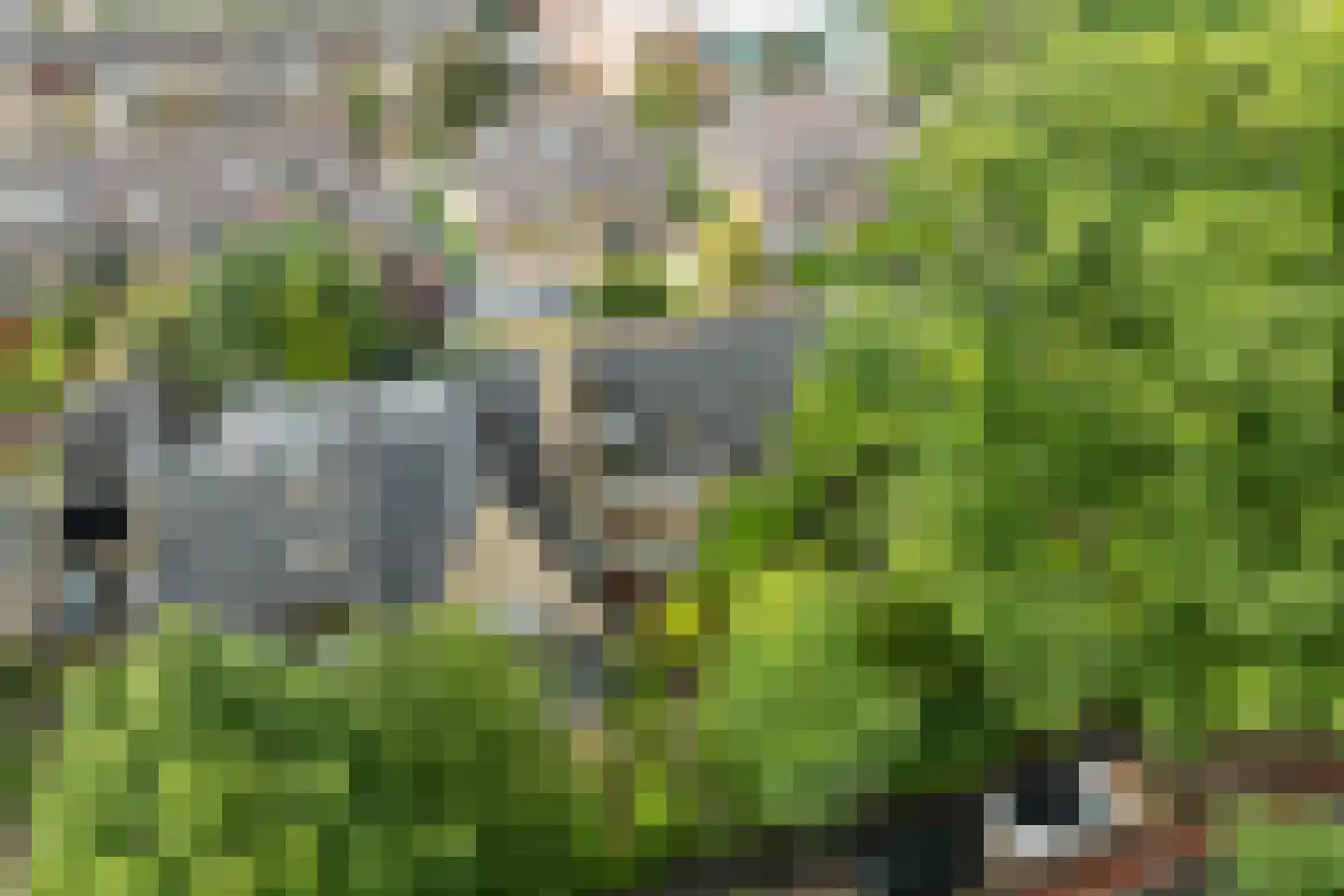 Gijsbrecht van Amstelstraat 337 Hilversum thumbnail 42