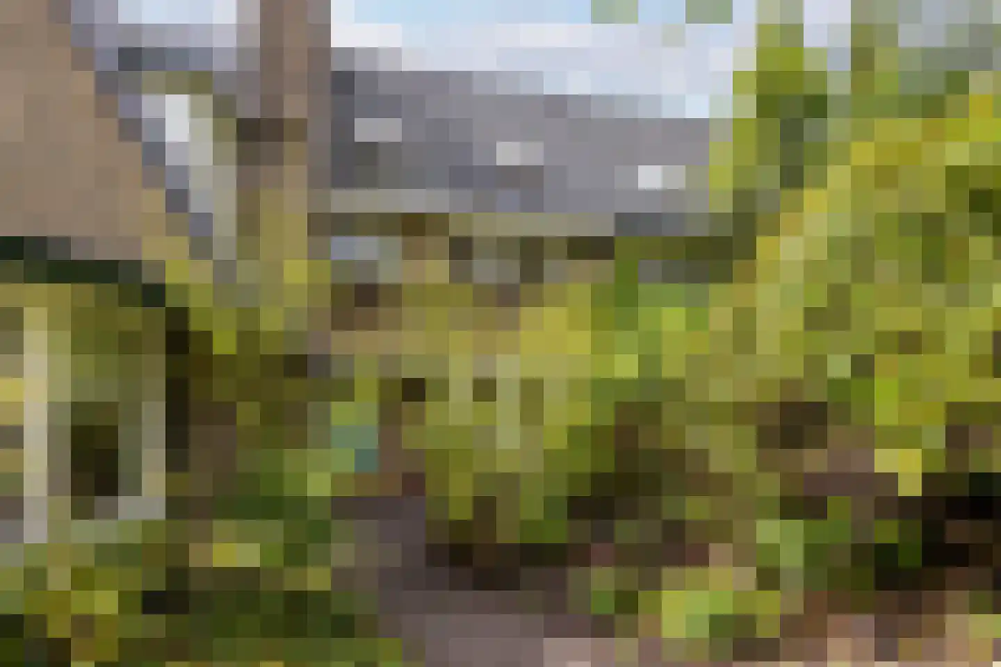 Gijsbrecht van Amstelstraat 337 Hilversum thumbnail 43