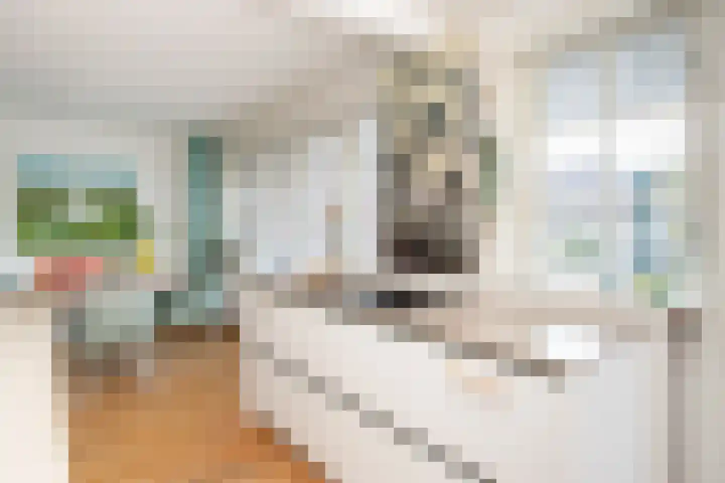 Gijsbrecht van Amstelstraat 349 Hilversum thumbnail 21