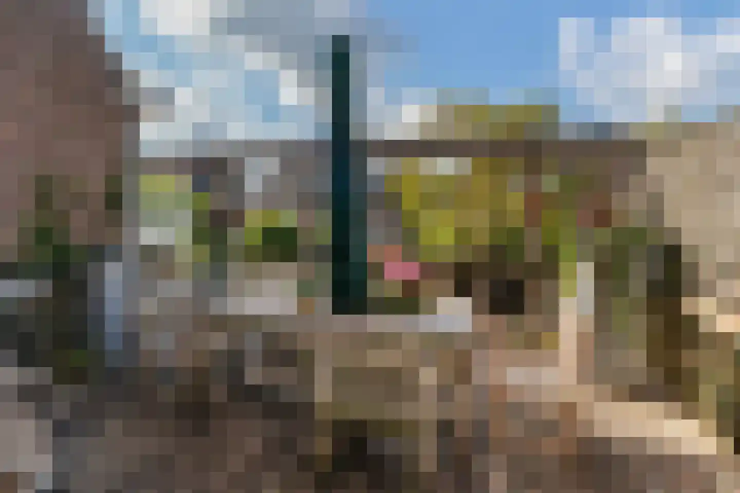 Gijsbrecht van Amstelstraat 349 Hilversum thumbnail 23