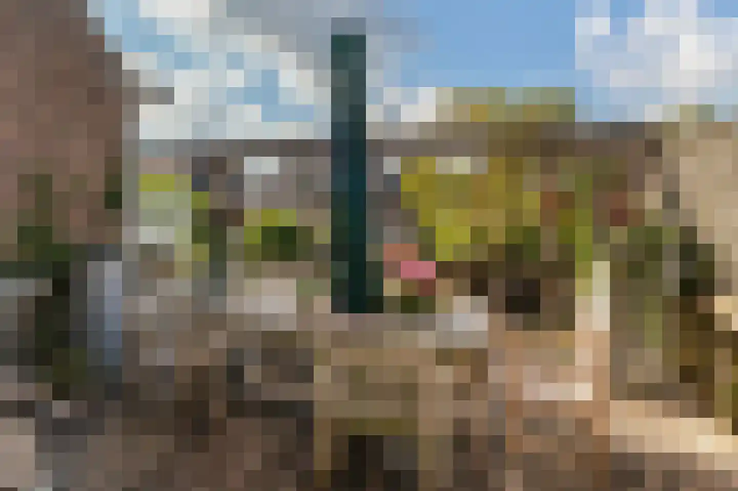 Gijsbrecht van Amstelstraat 349 Hilversum thumbnail 23