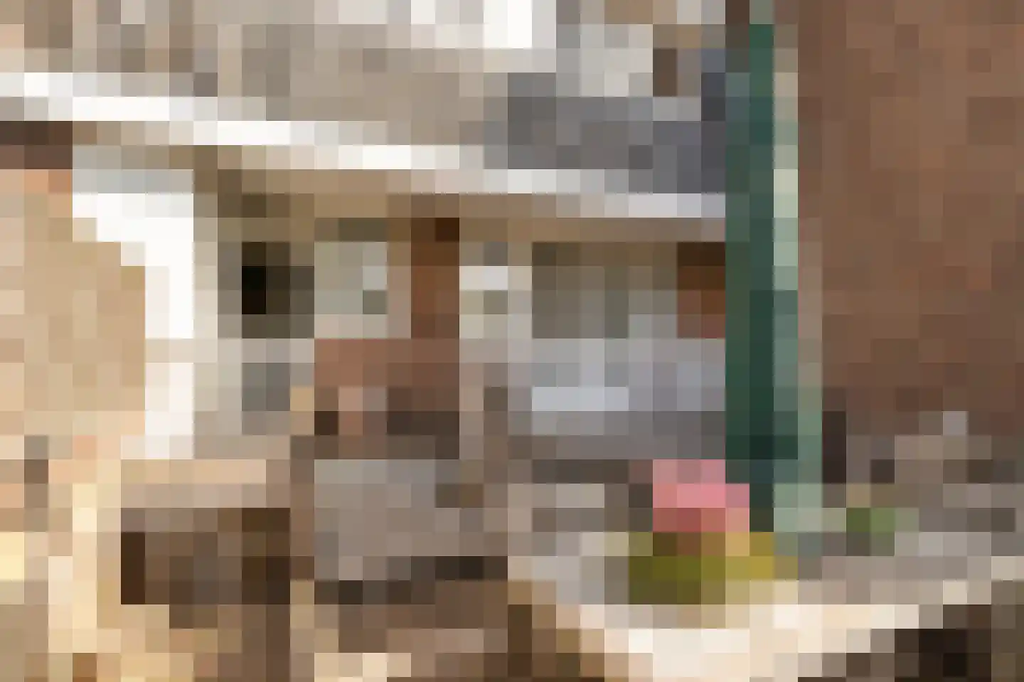 Gijsbrecht van Amstelstraat 349 Hilversum thumbnail 25