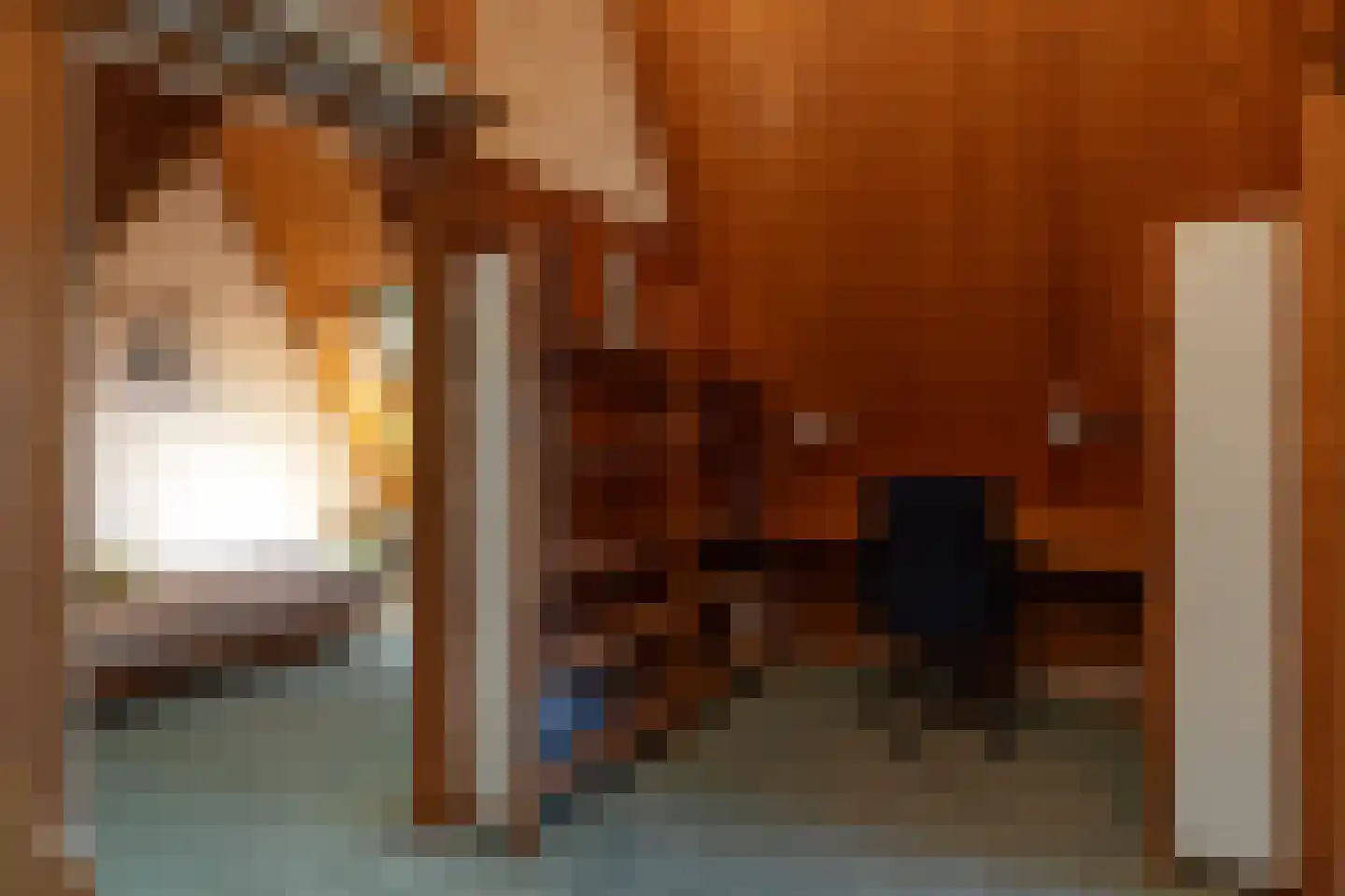 Gijsbrecht van Amstelstraat 349 Hilversum thumbnail 27