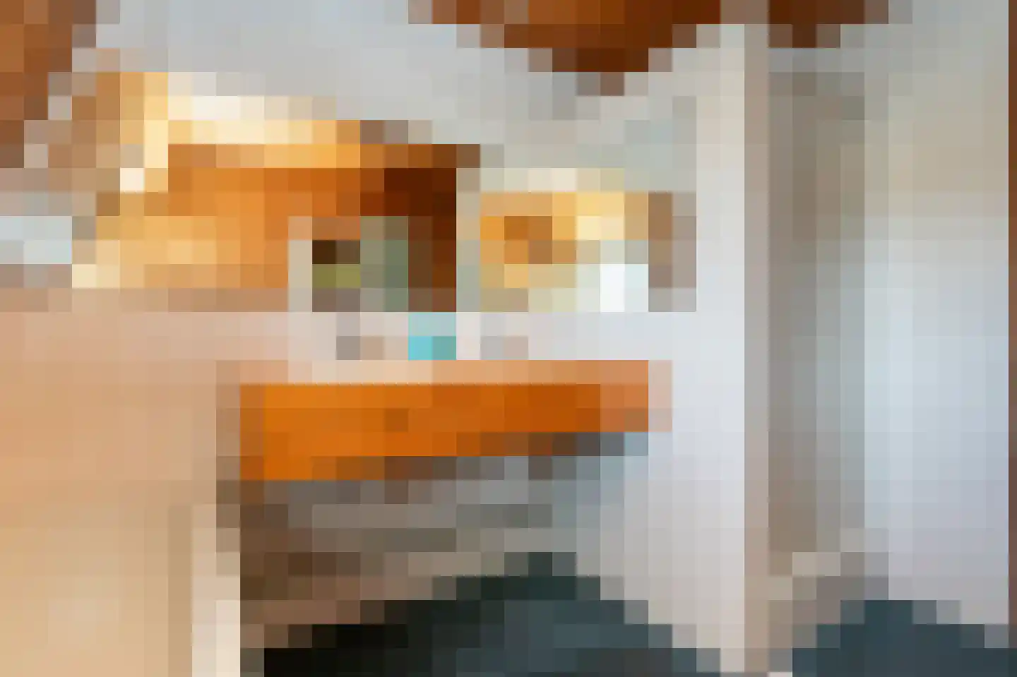 Gijsbrecht van Amstelstraat 349 Hilversum thumbnail 29