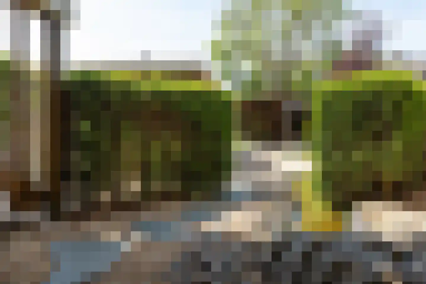 Gijsbrecht van Amstelstraat 349 Hilversum thumbnail 33
