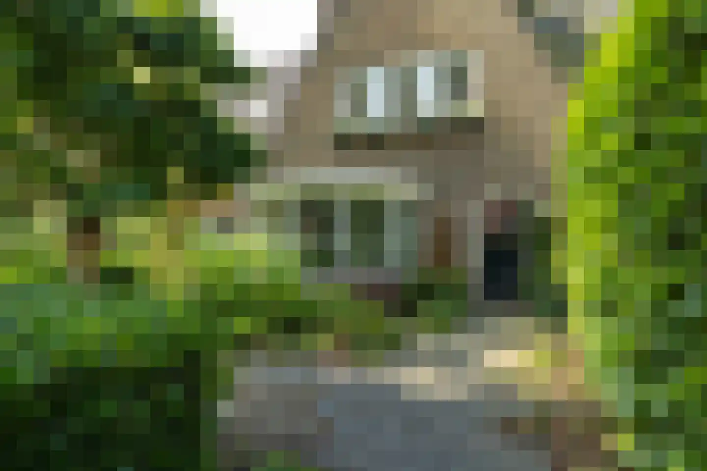 Gijsbrecht van Amstelstraat 349 Hilversum thumbnail 38