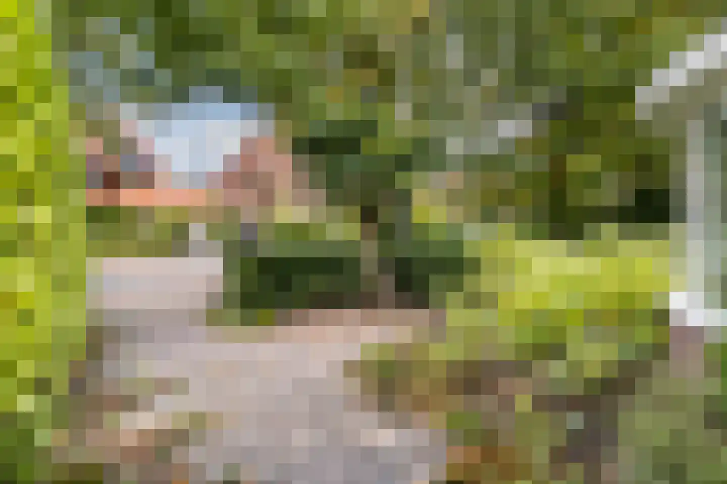 Gijsbrecht van Amstelstraat 349 Hilversum thumbnail 4