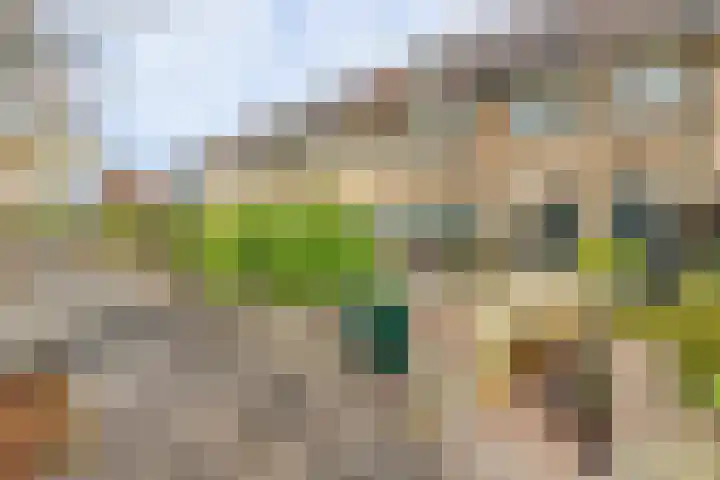 Gijsbrecht van Amstelstraat 394 A Hilversum thumbnail 4