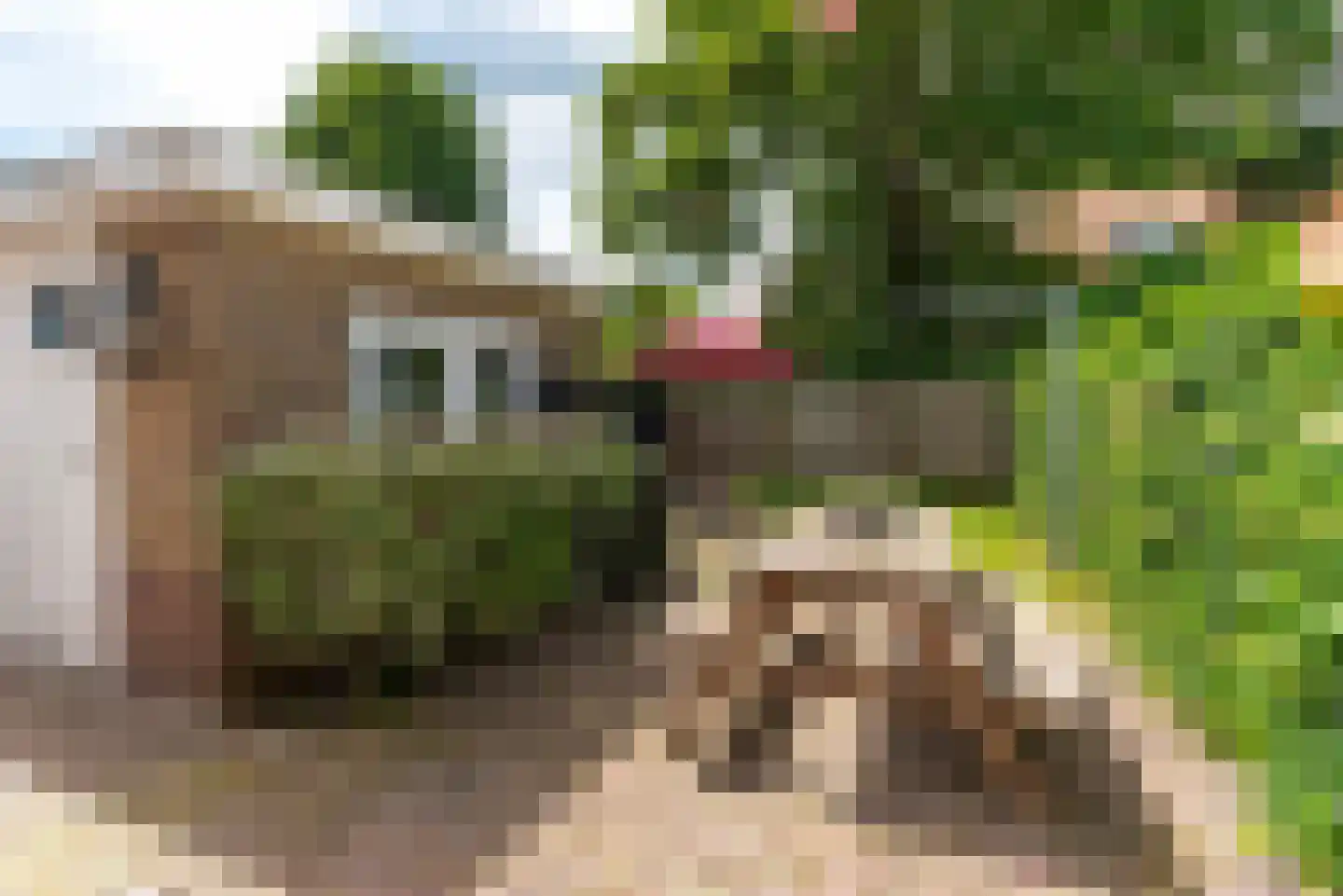 Gijsbrecht van Amstelstraat 401 Hilversum thumbnail 20