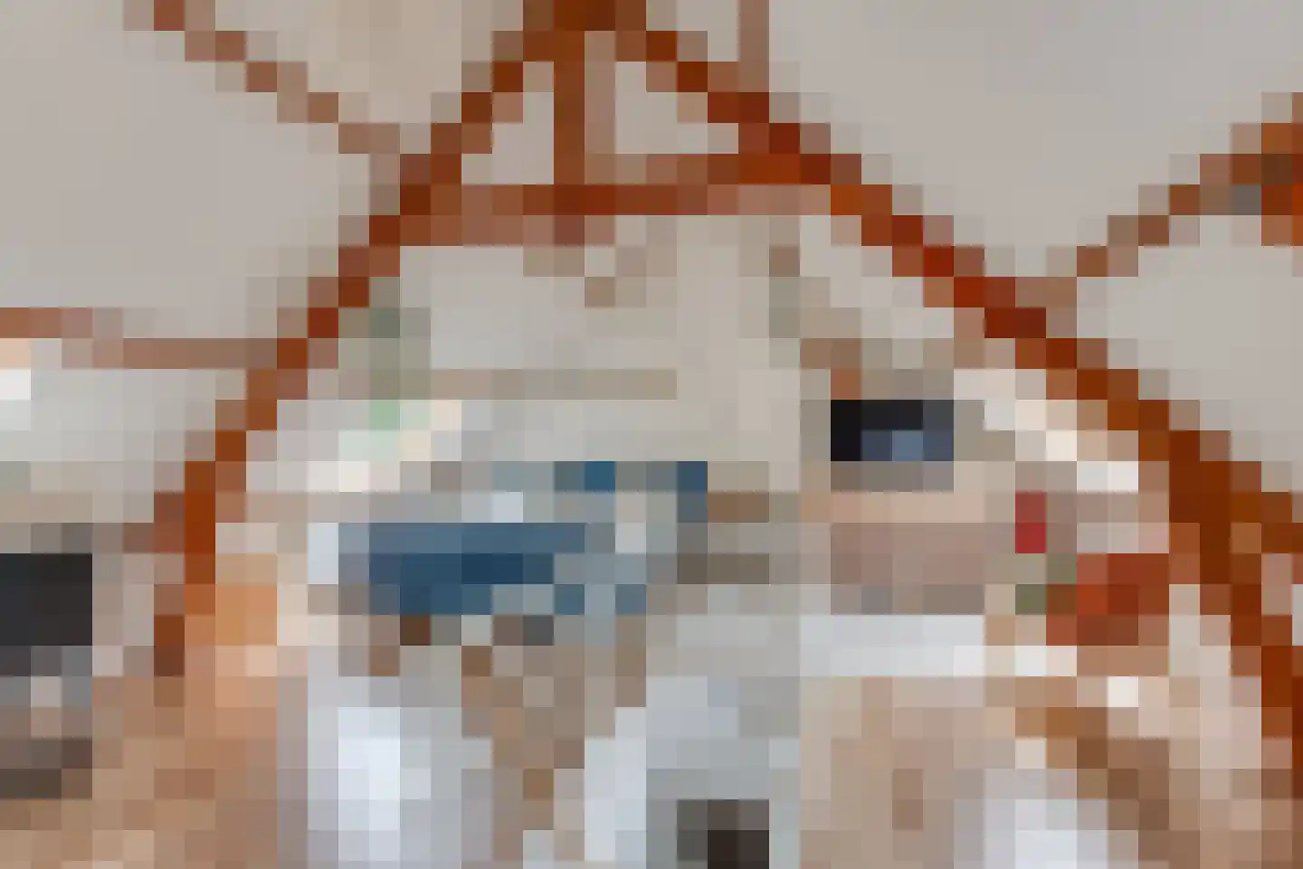 Gijsbrecht van Amstelstraat 401 Hilversum thumbnail 33