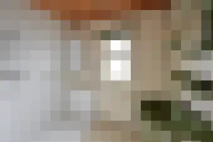 Gijsbrecht van Amstelstraat 407 Hilversum thumbnail 14