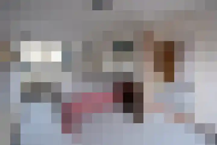 Gijsbrecht van Amstelstraat 407 Hilversum thumbnail 17