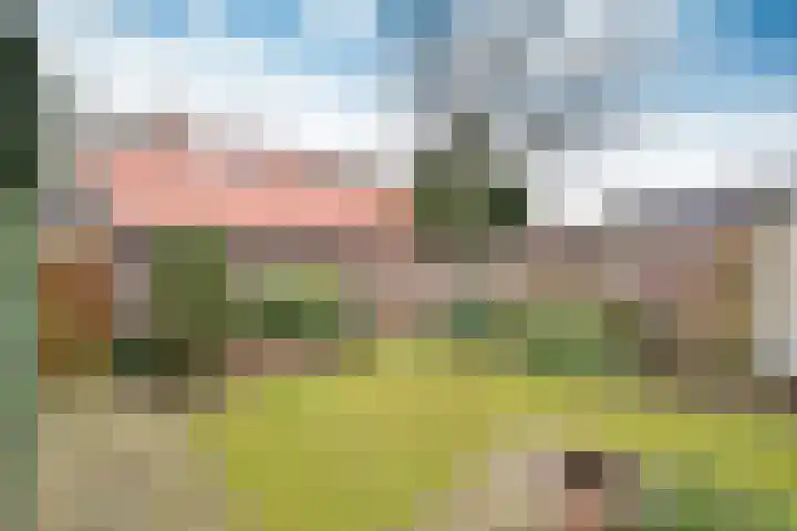 Gijsbrecht van Amstelstraat 407 Hilversum thumbnail 20