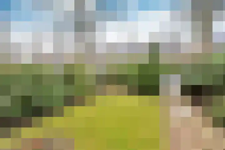 Gijsbrecht van Amstelstraat 407 Hilversum thumbnail 25