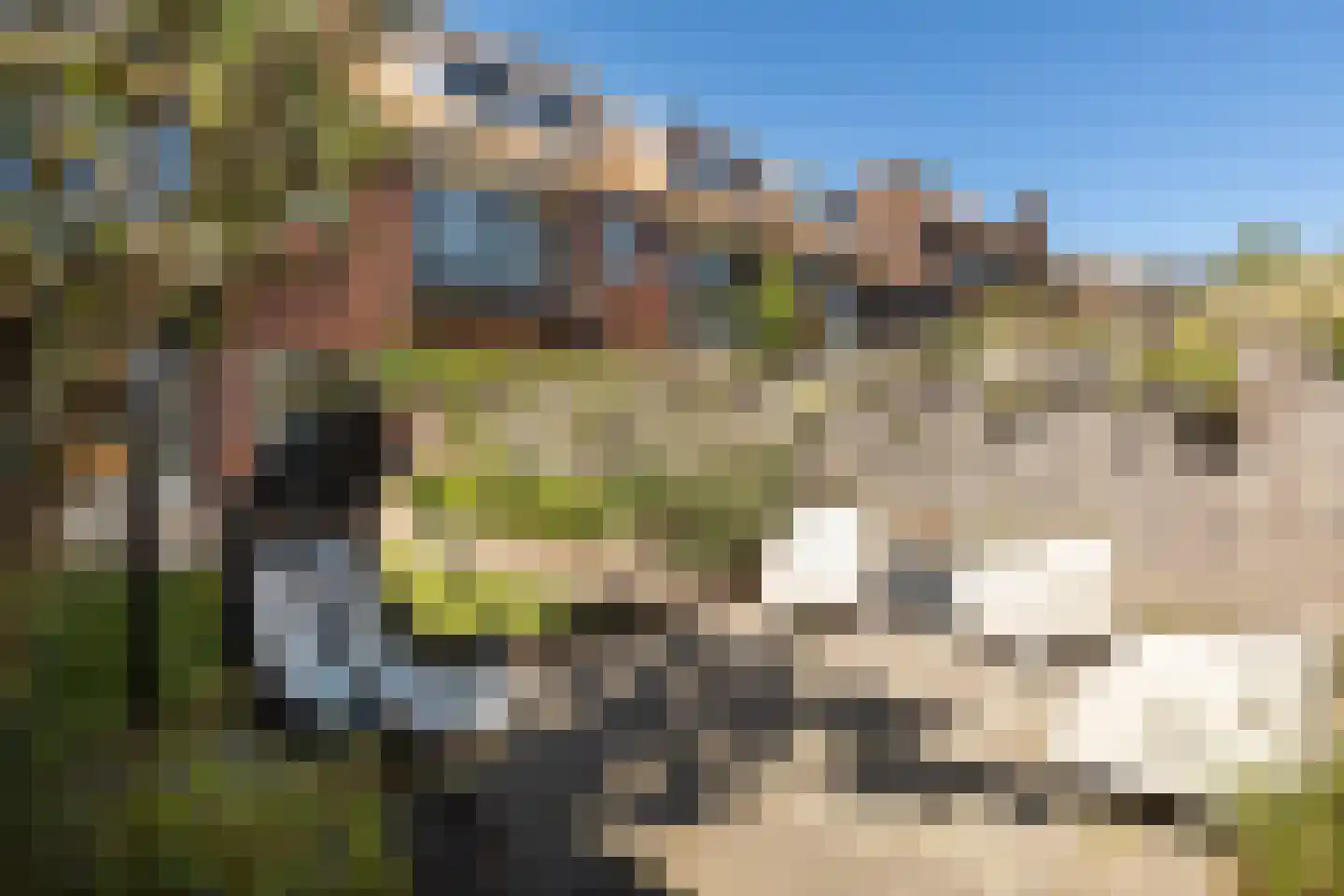 Gijsbrecht van Amstelstraat 462 Hilversum thumbnail 27