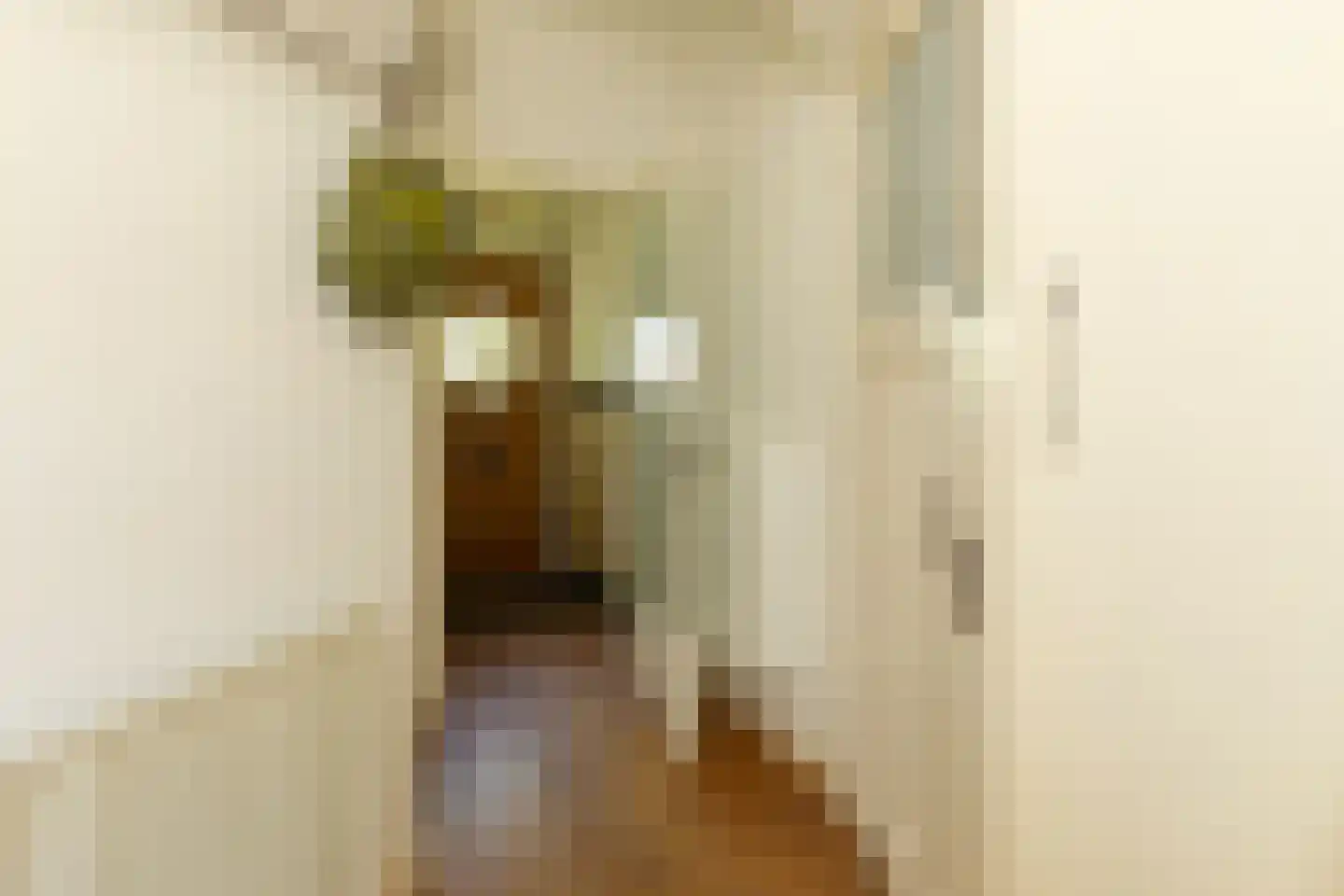 Gijsbrecht van Amstelstraat 462 Hilversum thumbnail 5