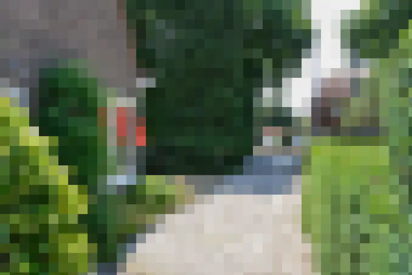Gijsbrecht van Amstelstraat 48 Hilversum thumbnail 23