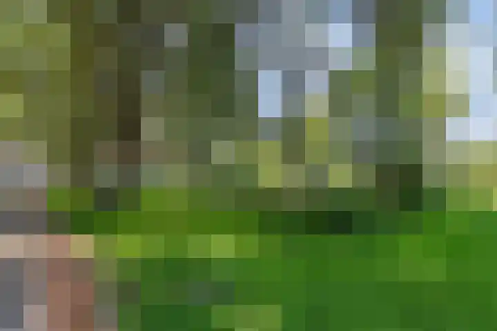 Gijsbrecht van Amstelstraat 48 Vlaardingen thumbnail 37