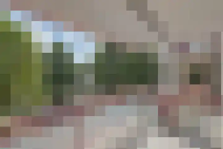 Gijsbrecht van Amstelstraat 48 Vlaardingen thumbnail 4