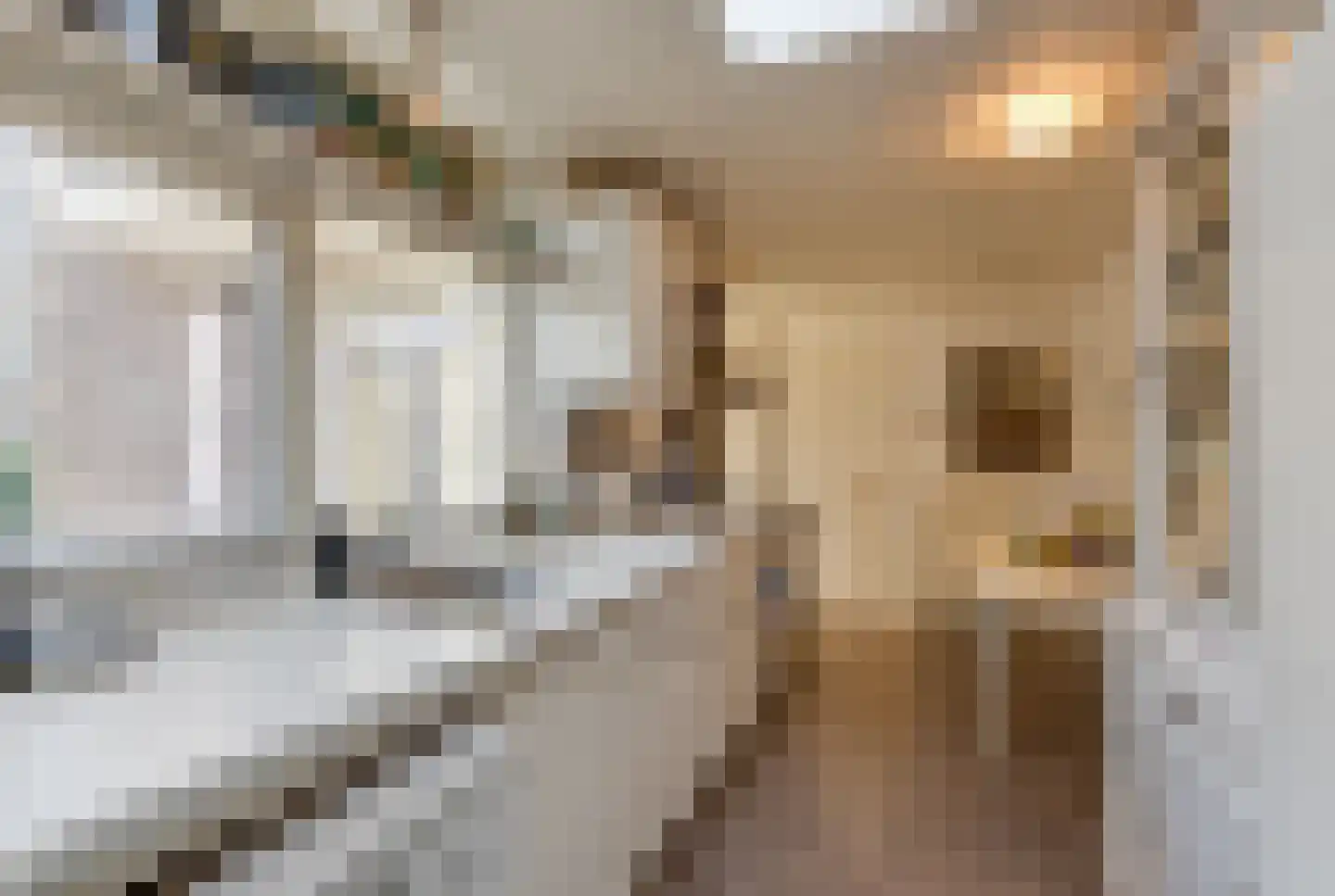 Gijsbrecht van Amstelstraat 480 Hilversum thumbnail 10