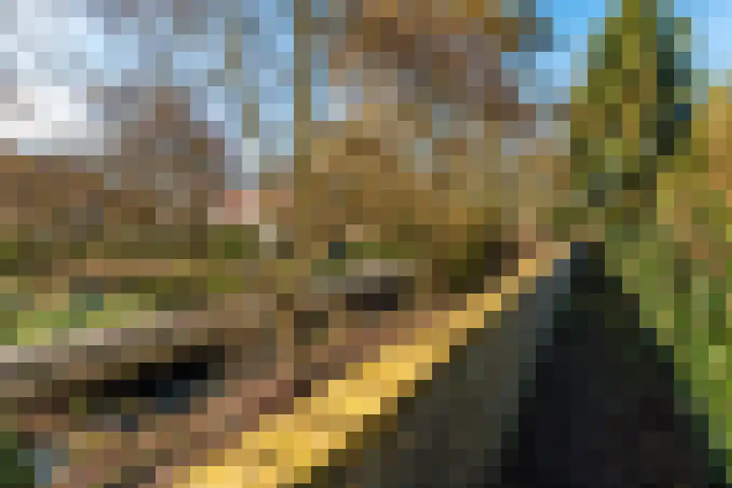 Gijsbrecht van Amstelstraat 480 Hilversum thumbnail 31
