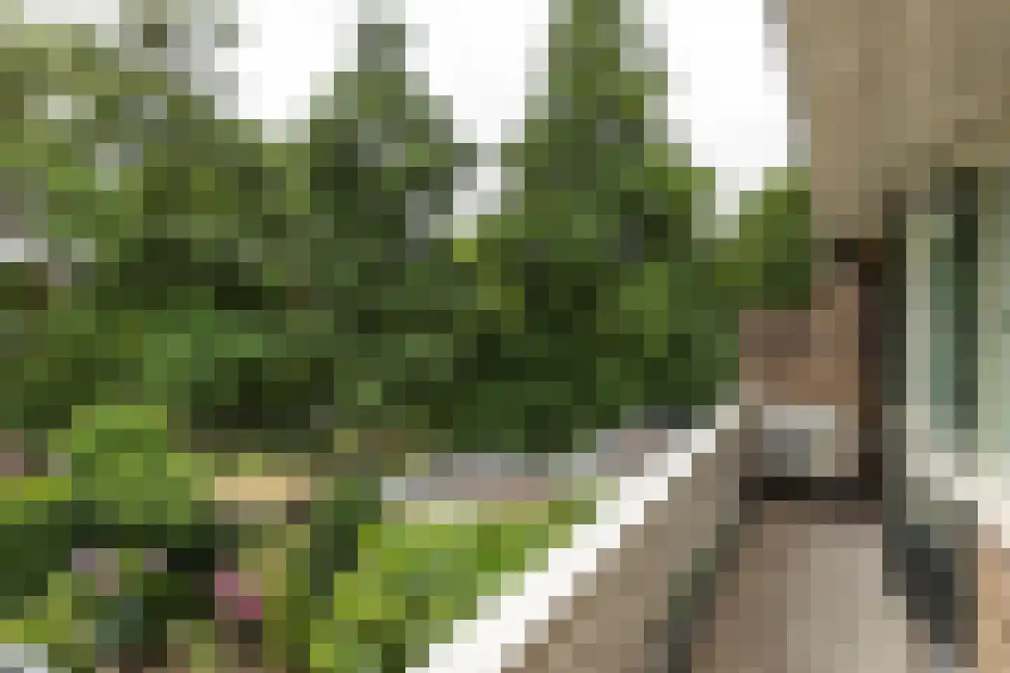 Gijsbrecht van Amstelstraat 482 Hilversum thumbnail 13