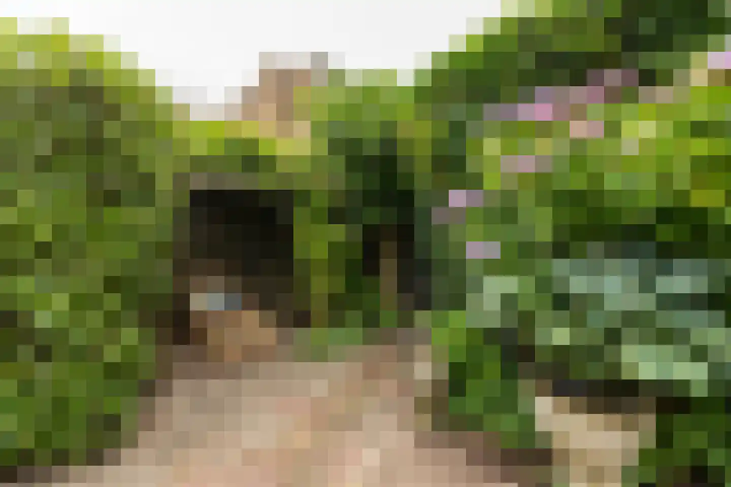 Gijsbrecht van Amstelstraat 482 Hilversum thumbnail 27