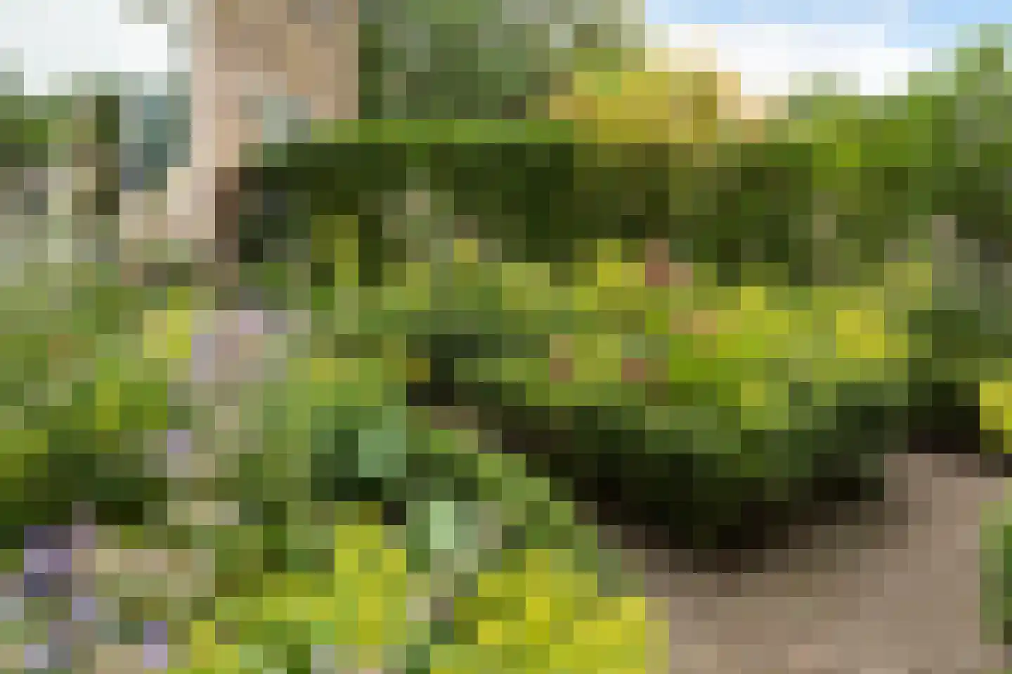 Gijsbrecht van Amstelstraat 482 Hilversum thumbnail 28