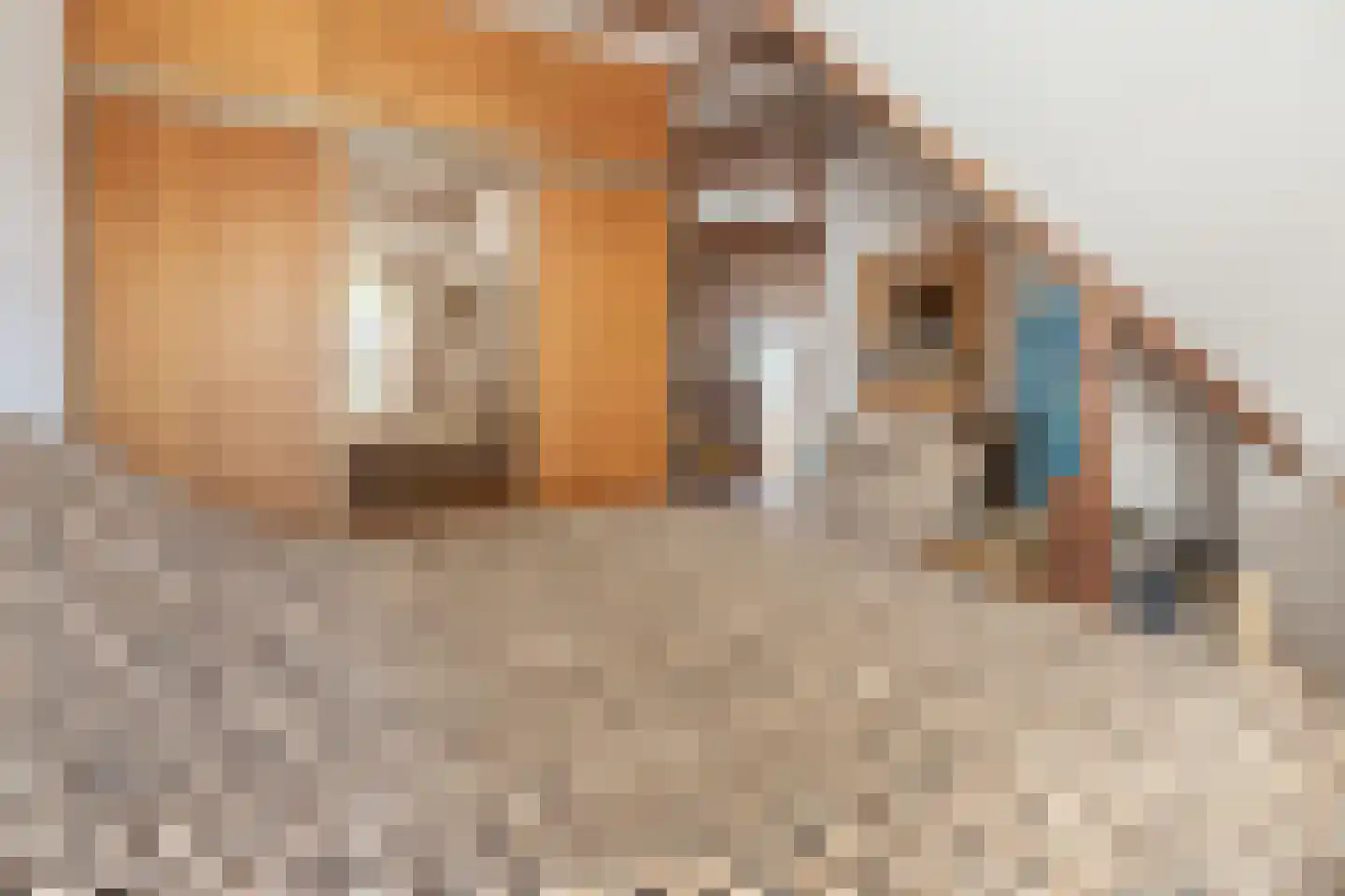 Gijsbrecht van Amstelstraat 54 Hilversum thumbnail 17