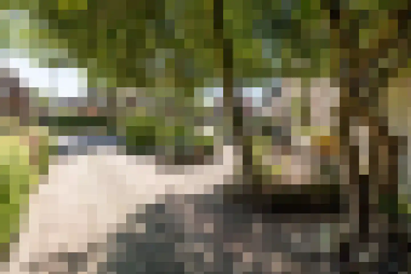 Gijsbrecht van Amstelstraat 54 Hilversum thumbnail 28