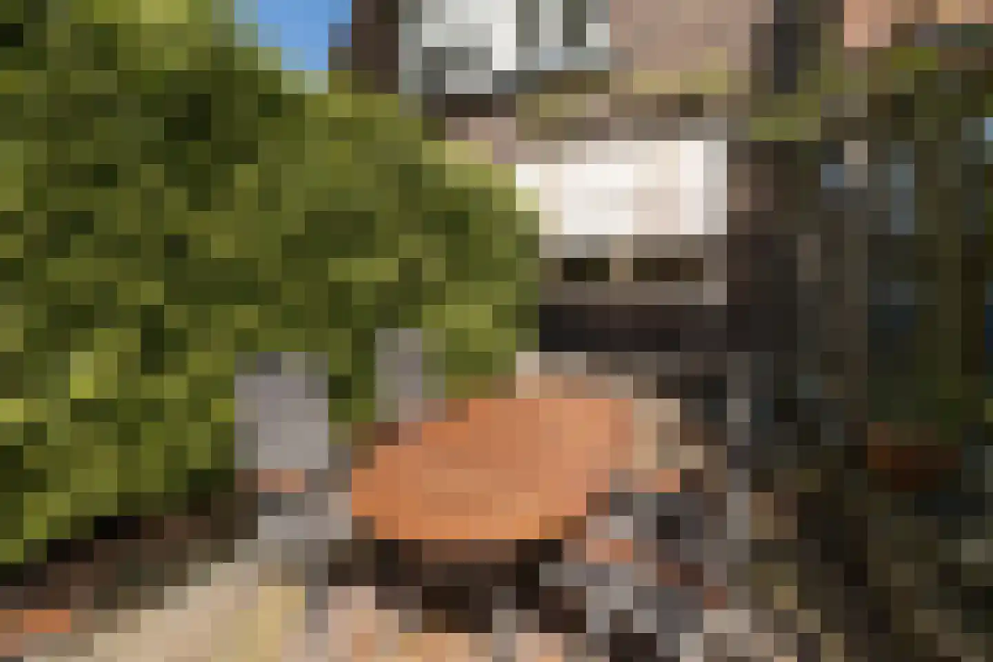 Gijsbrecht van Amstelstraat 54 Hilversum thumbnail 32