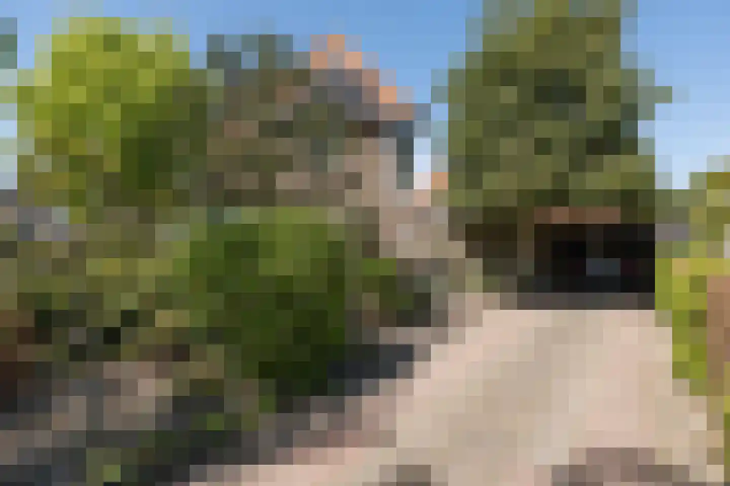 Gijsbrecht van Amstelstraat 54 Hilversum thumbnail 36