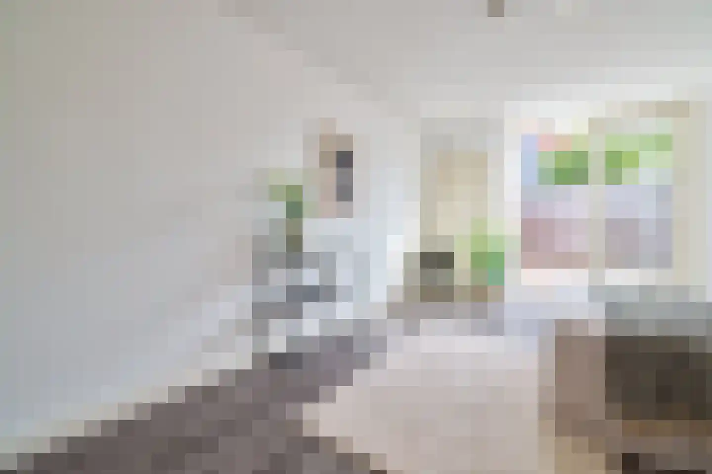 Gijsbrecht van Amstelstraat 70 Hilversum thumbnail 14